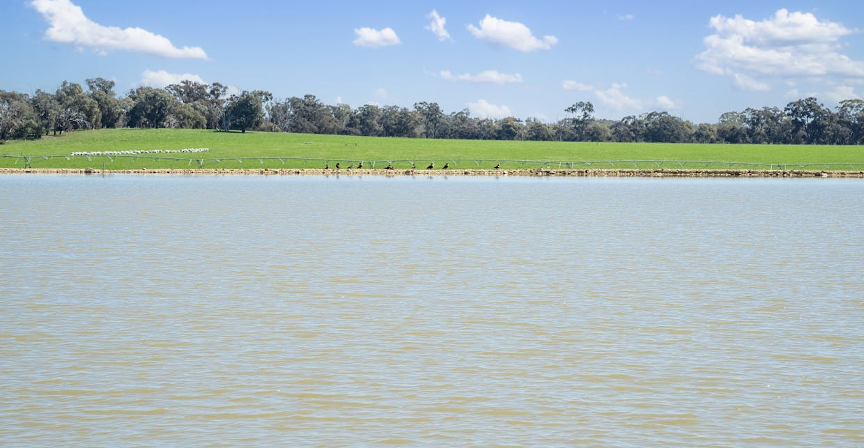 Crn of Basin & Carroll Road, Tarnook, VIC, 3670 - Image 4