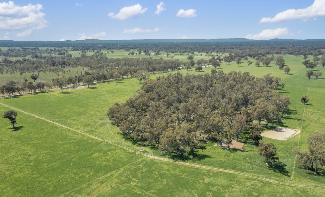 Crn of Basin & Carroll Road, Tarnook, VIC, 3670 - Image 5