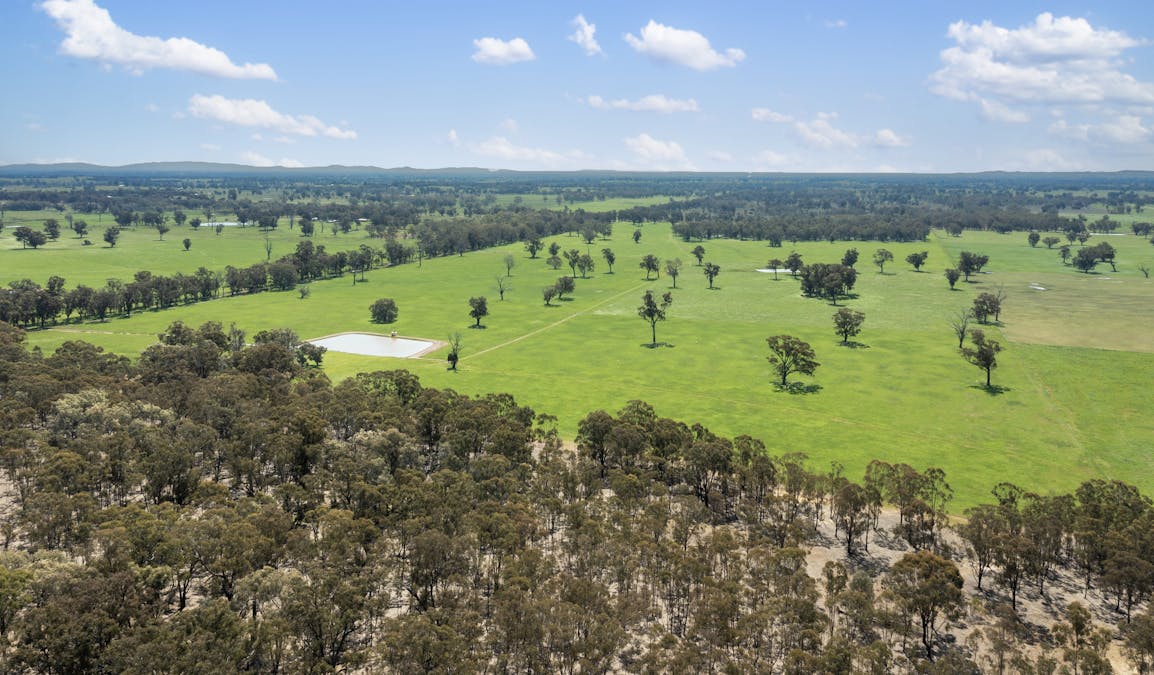 Crn of Basin & Carroll Road, Tarnook, VIC, 3670 - Image 6