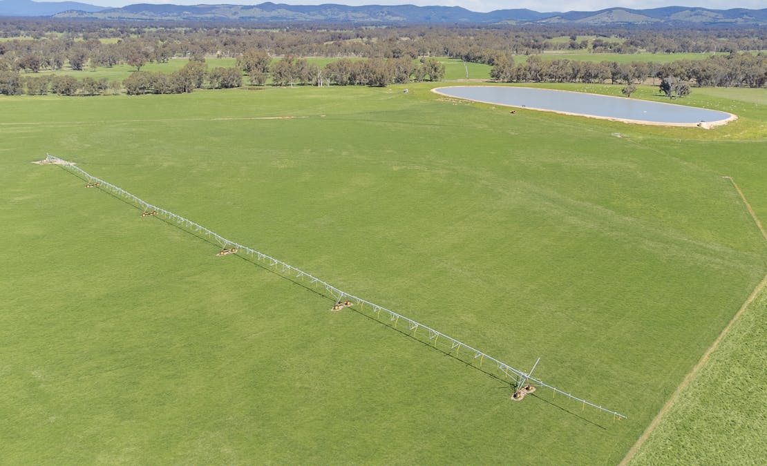 Crn of Basin & Carroll Road, Tarnook, VIC, 3670 - Image 7