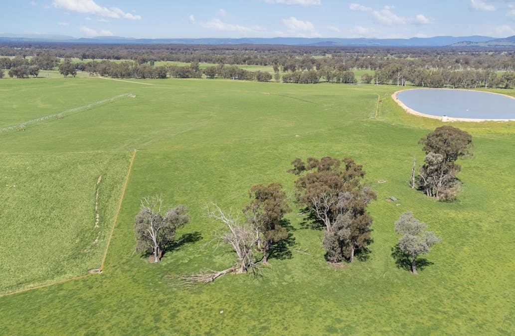 Crn of Basin & Carroll Road, Tarnook, VIC, 3670 - Image 8