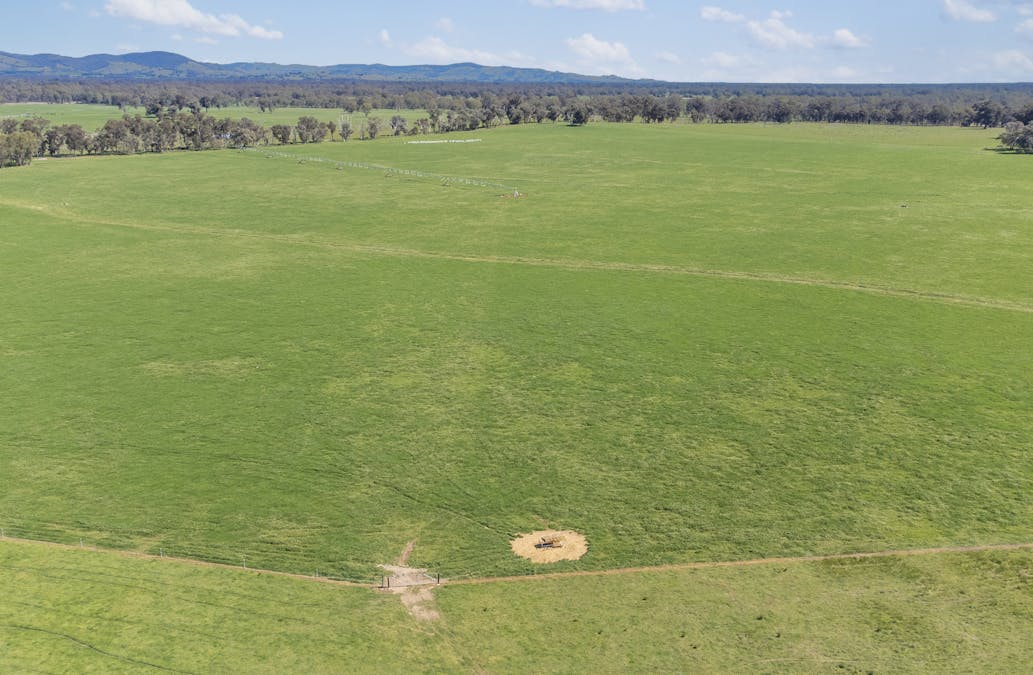 Crn of Basin & Carroll Road, Tarnook, VIC, 3670 - Image 9