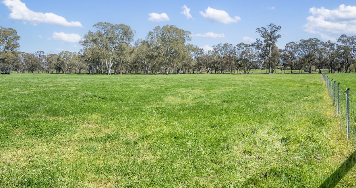 Crn of Basin & Carroll Road, Tarnook, VIC, 3670 - Image 18