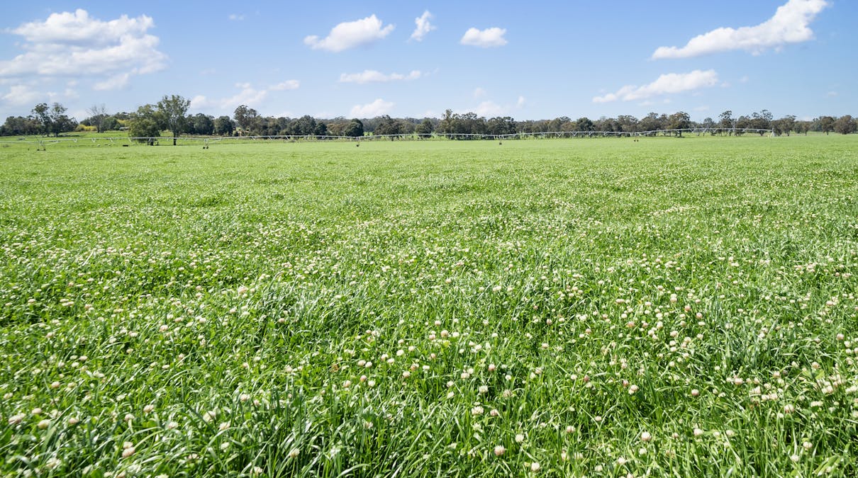 Crn of Basin & Carroll Road, Tarnook, VIC, 3670 - Image 24