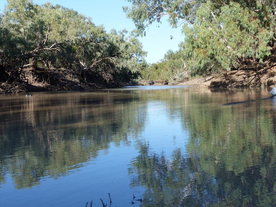 'Mundiwa' & 'Twin Rivers' 8600 West Culgoa Road, Brewarrina, NSW, 2839 - Image 32