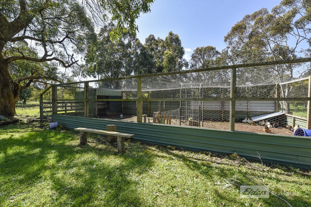 77 Banya Road South , Millicent, SA, 5280 - Image 31