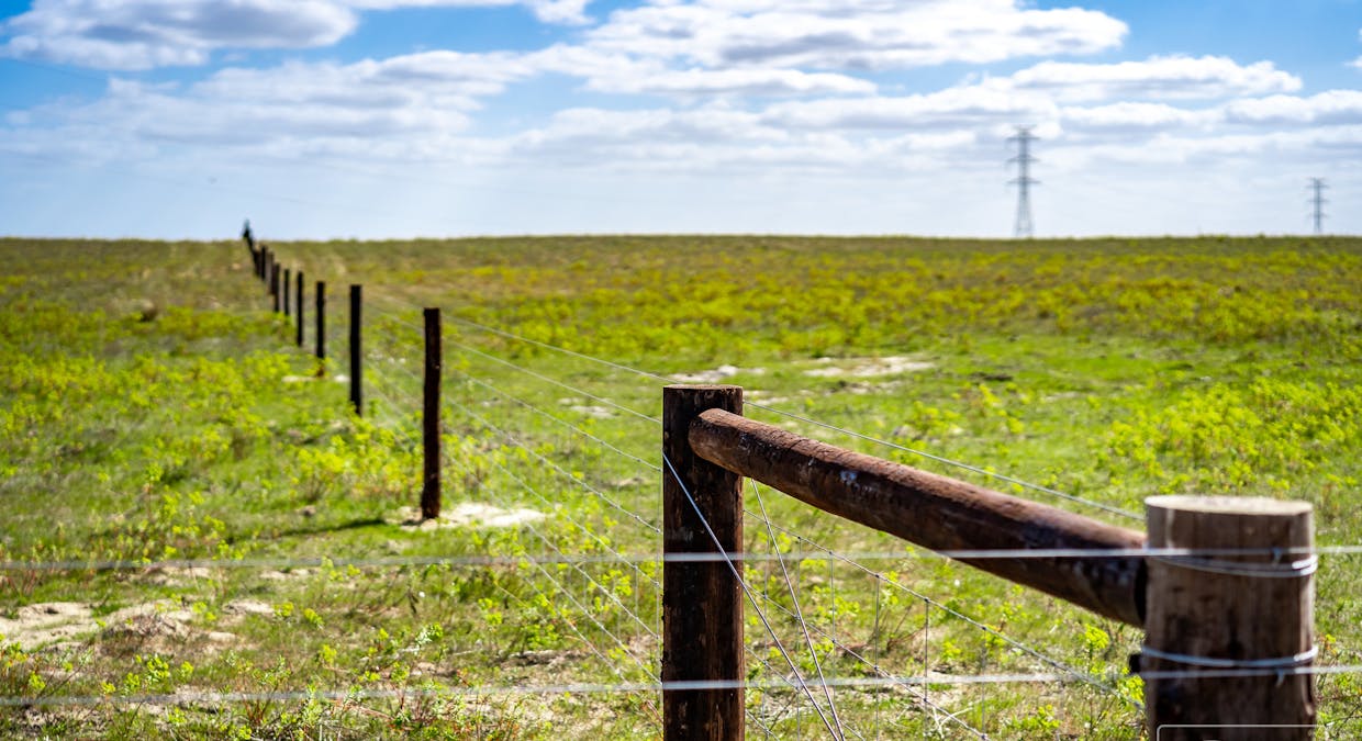 629 Westbrook Road, Tailem Bend, SA, 5260 - Image 31