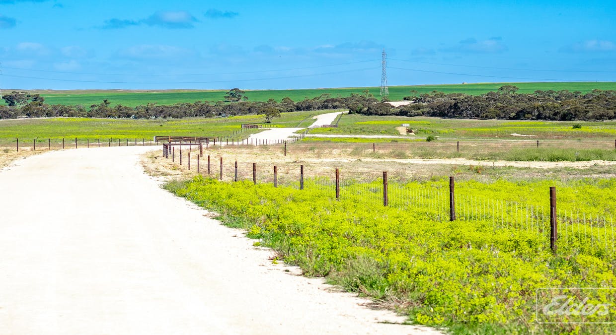 629 Westbrook Road, Tailem Bend, SA, 5260 - Image 33