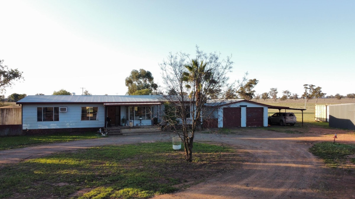 1358 Alectown West Road, Goonumbla, NSW, 2870 - Image 21