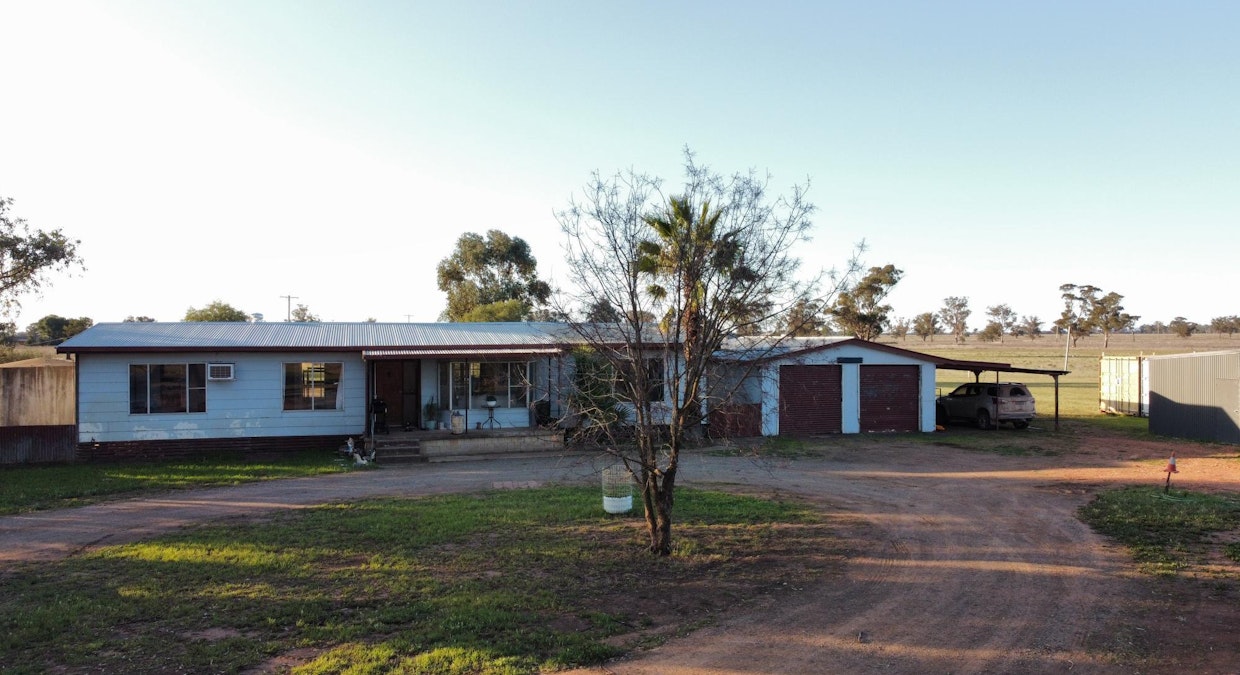 1358 Alectown West Road, Goonumbla, NSW, 2870 - Image 21