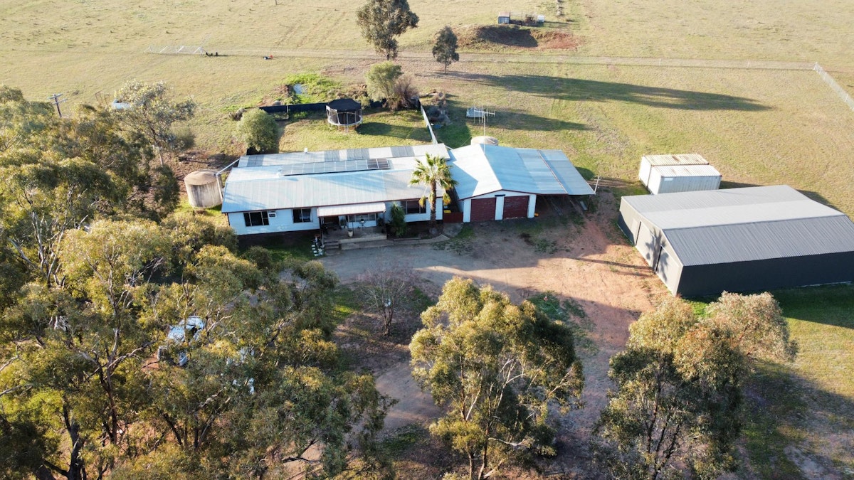 1358 Alectown West Road, Goonumbla, NSW, 2870 - Image 1