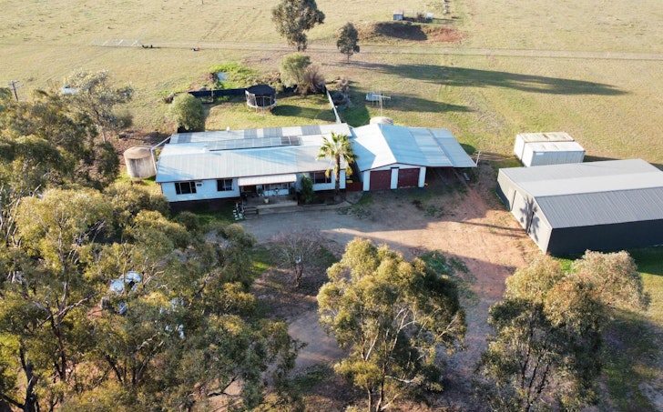 1358 Alectown West Road, Goonumbla, NSW, 2870 - Image 1