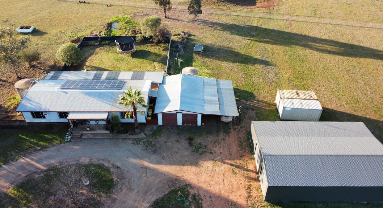 1358 Alectown West Road, Goonumbla, NSW, 2870 - Image 11