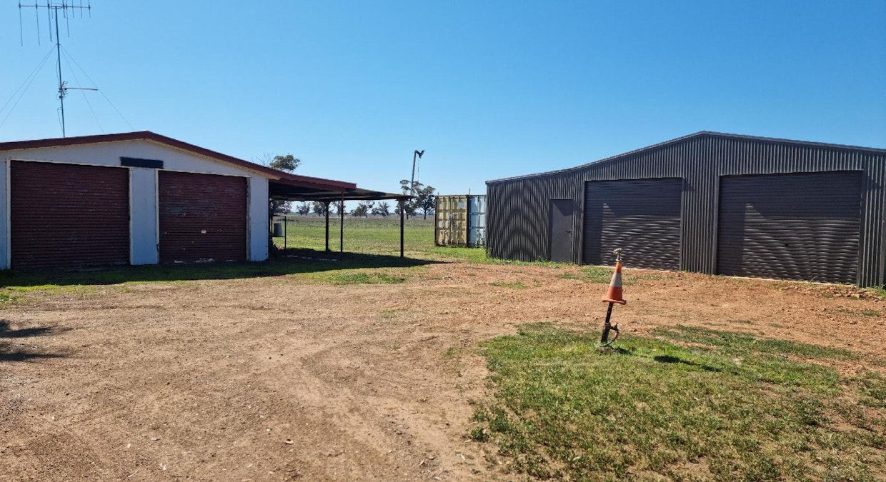 1358 Alectown West Road, Goonumbla, NSW, 2870 - Image 12
