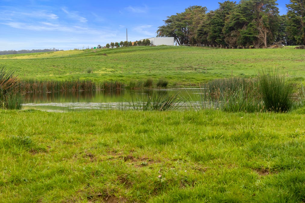 8 Stubbers Lane, Mirboo North, VIC, 3871 - Image 7