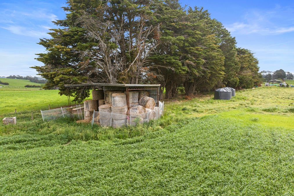 8 Stubbers Lane, Mirboo North, VIC, 3871 - Image 16