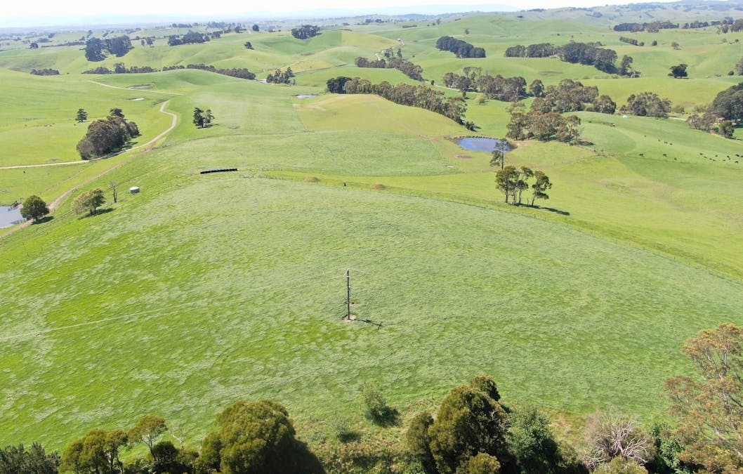 1/2605 Drouin-Korumburra Road, Poowong, VIC, 3988 - Image 7