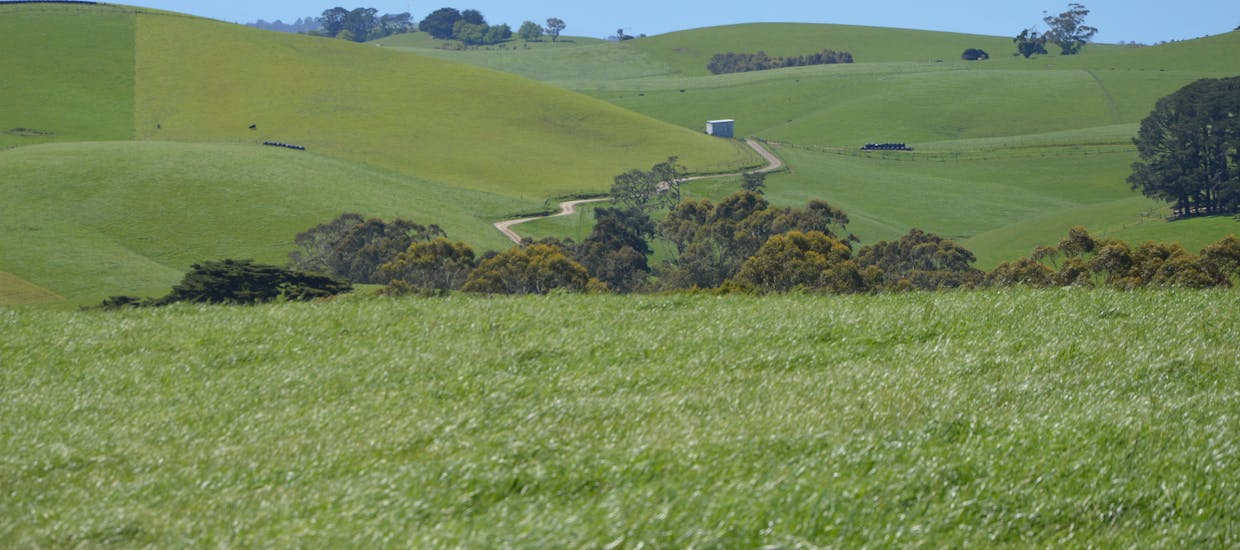 1/2605 Drouin-Korumburra Road, Poowong, VIC, 3988 - Image 4