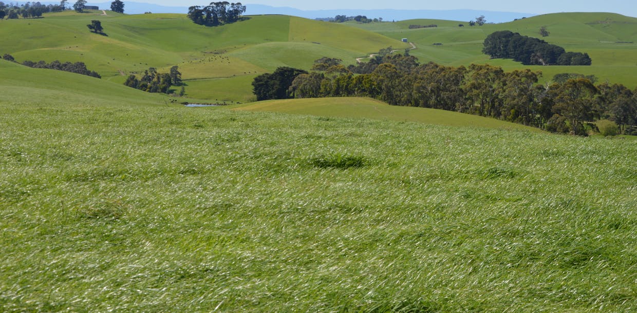 1/2605 Drouin-Korumburra Road, Poowong, VIC, 3988 - Image 5