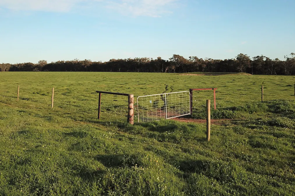 671/Horne Road, Mount Barker, WA, 6324 - Image 8