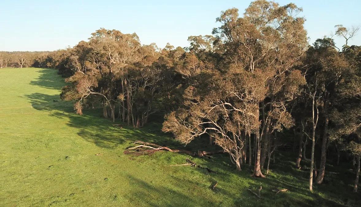 671/Horne Road, Mount Barker, WA, 6324 - Image 9