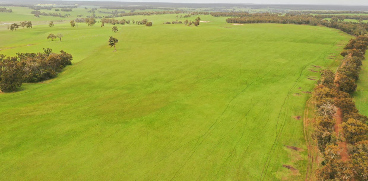 7369 & 7382 Boyup Brook-Kojonup Road, Scotts Brook, WA, 6244 - Image 3