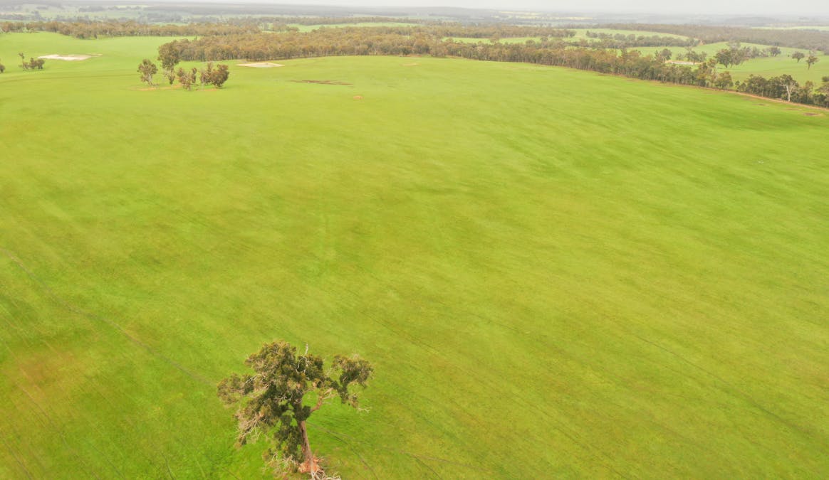 7369 & 7382 Boyup Brook-Kojonup Road, Scotts Brook, WA, 6244 - Image 7