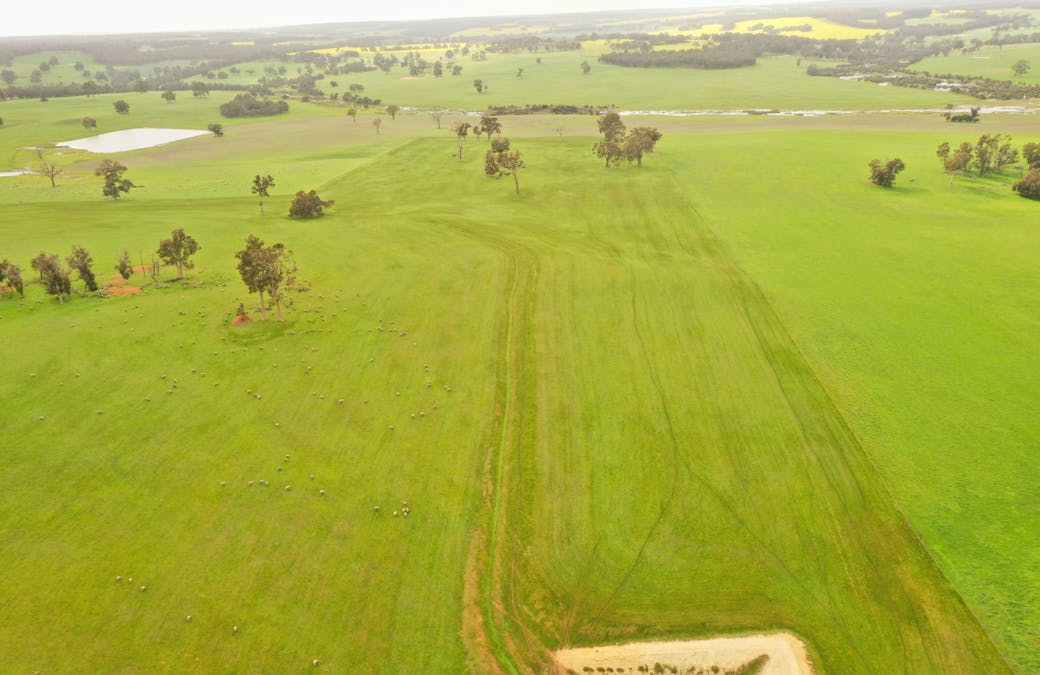 7369 & 7382 Boyup Brook-Kojonup Road, Scotts Brook, WA, 6244 - Image 2