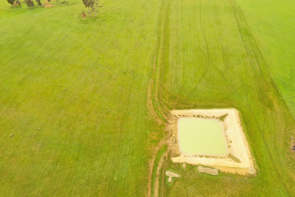 7369 & 7382 Boyup Brook-Kojonup Road, Scotts Brook, WA, 6244 - Image 10
