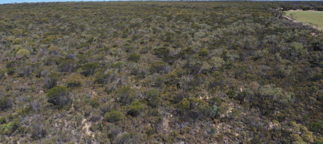 Lot 25253 Ellery Road, South Burracoppin, WA, 6421 - Image 18