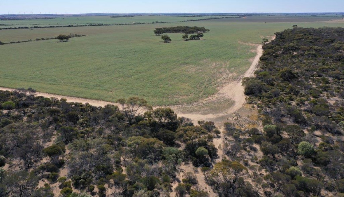 Lot 25253 Ellery Road, South Burracoppin, WA, 6421 - Image 34