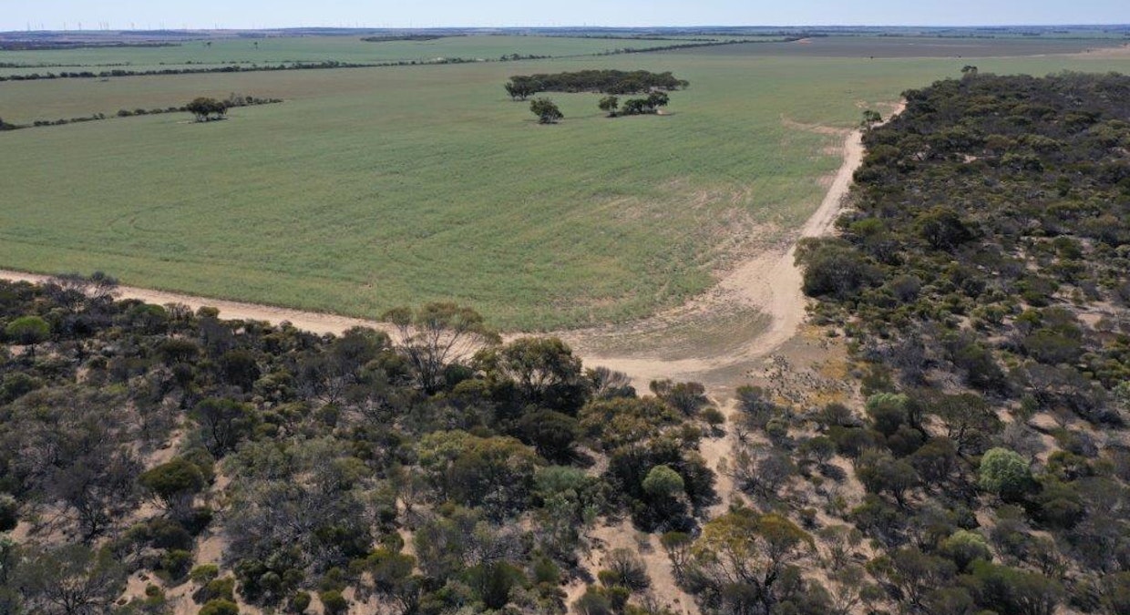 Lot 25253 Ellery Road, South Burracoppin, WA, 6421 - Image 34