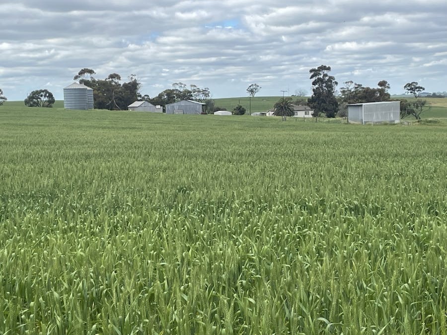 153 Wongamine Road, Buckland, WA, 6401 Sold Elders Real Estate