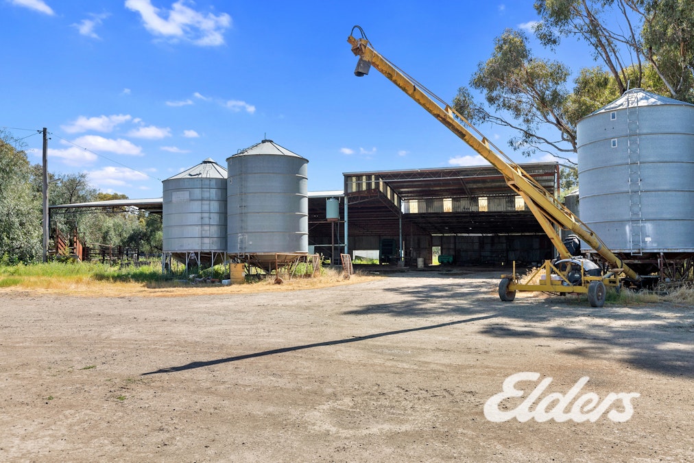 235  Clearview Road, Savernake, NSW, 2646 - Image 6