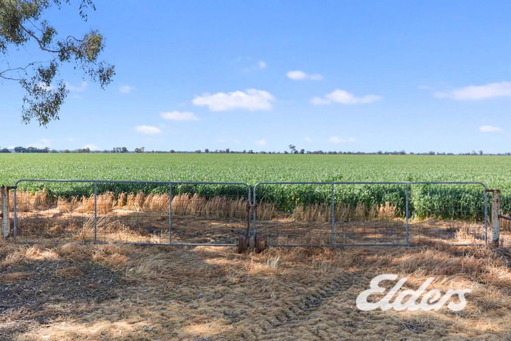 235  Clearview Road, Savernake, NSW, 2646 - Image 22