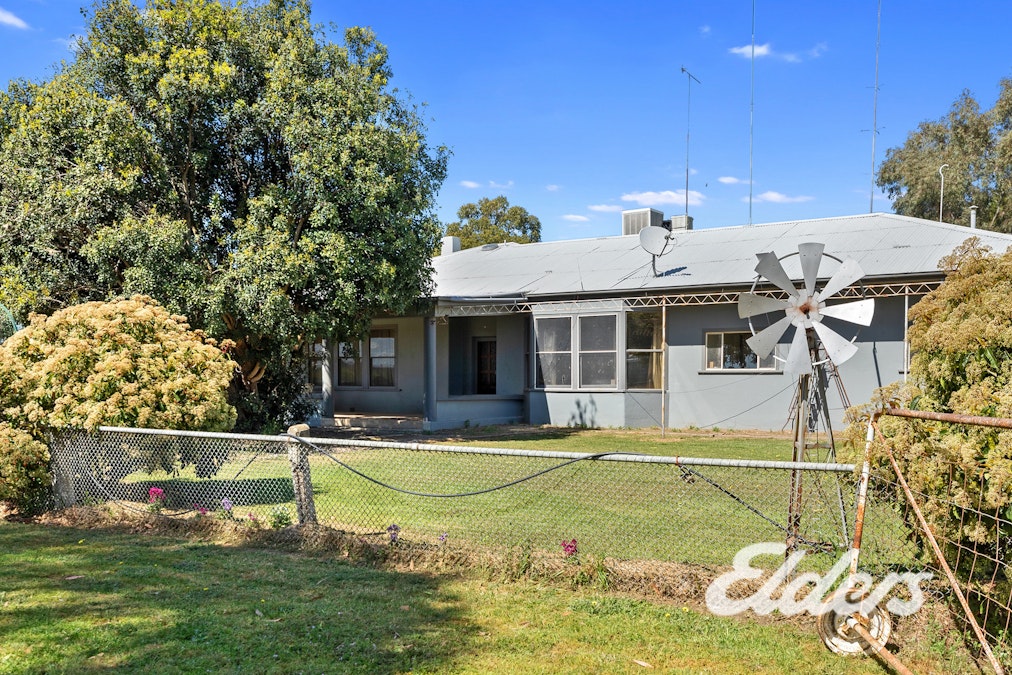 235  Clearview Road, Savernake, NSW, 2646 - Image 4