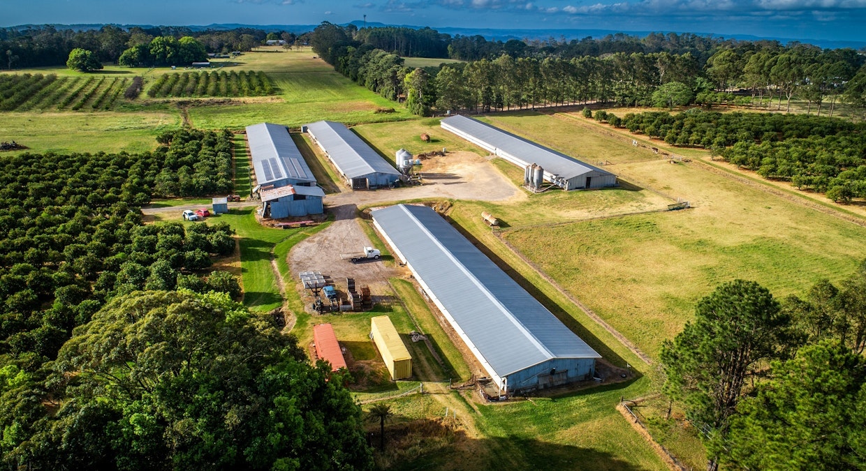 'Wyuna Farms' 982-988 George Downes Drive, Kulnura, NSW, 2250 - Image 6