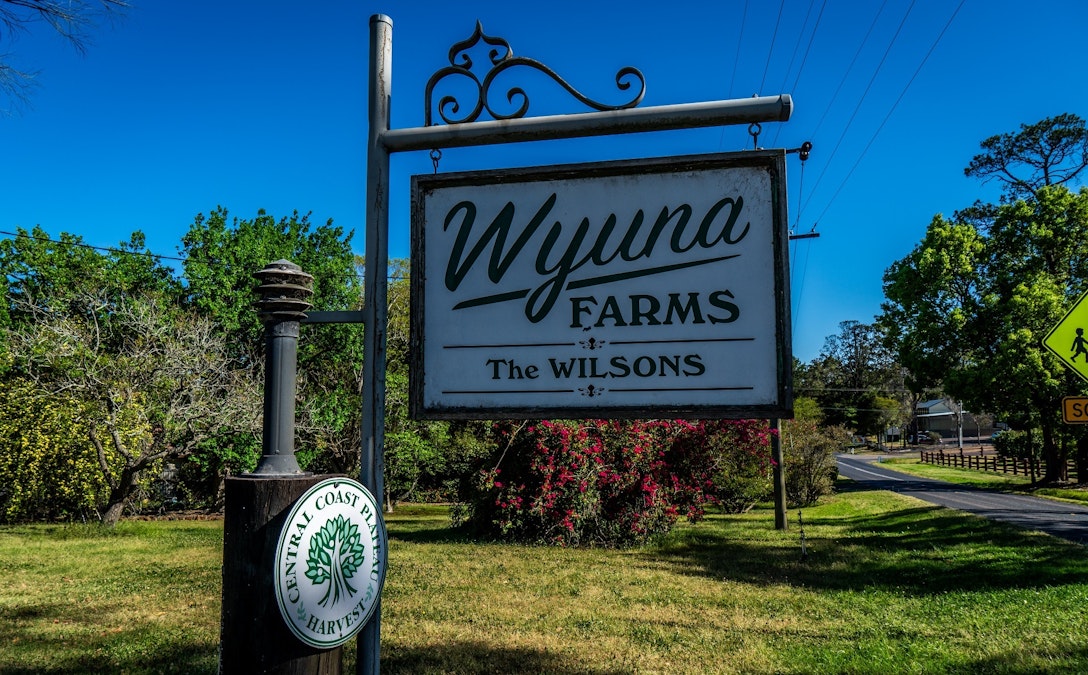 'Wyuna Farms' 982-988 George Downes Drive, Kulnura, NSW, 2250 - Image 15