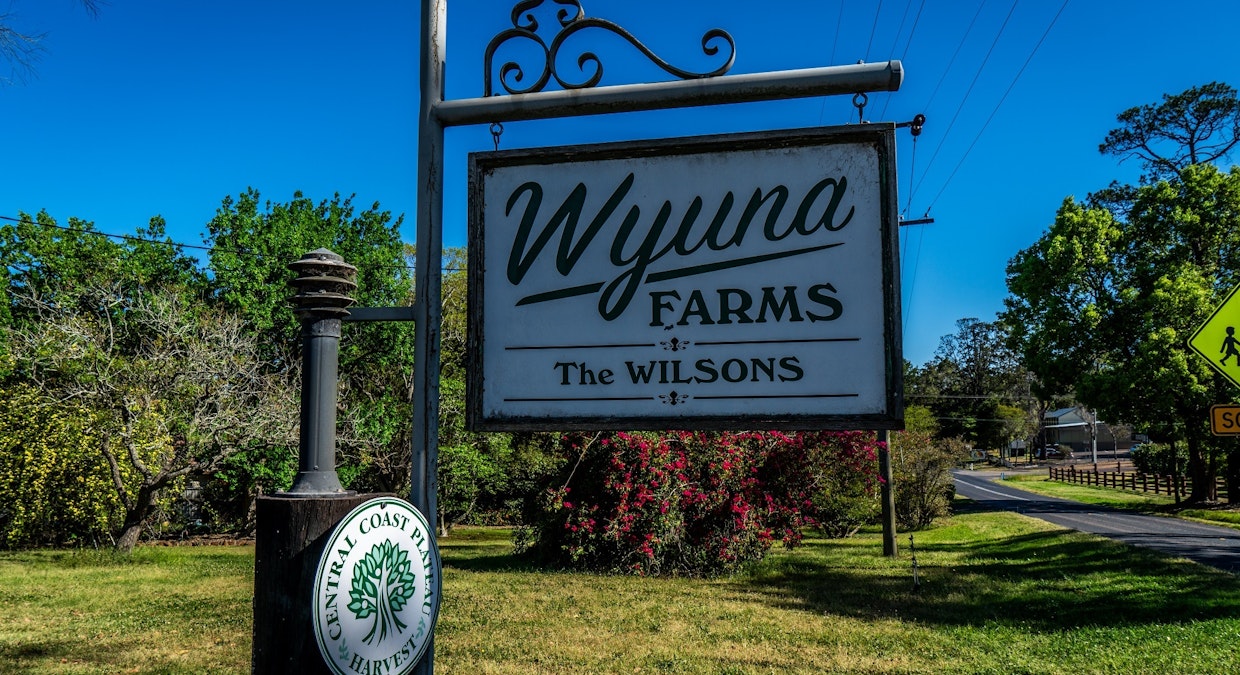 'Wyuna Farms' 982-988 George Downes Drive, Kulnura, NSW, 2250 - Image 15