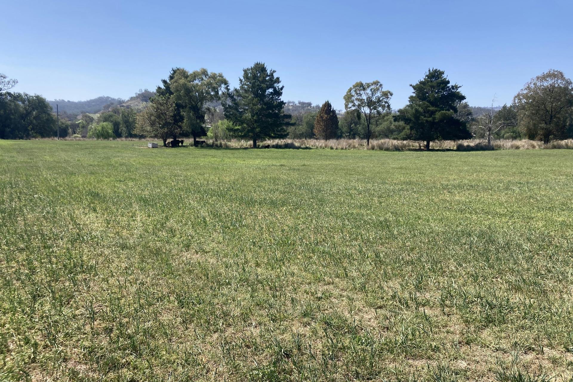 1/Hunter Road, Moonan Flat, NSW, 2337 Sold Elders Real Estate