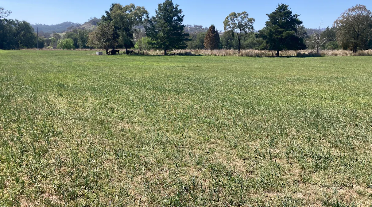 1/Hunter Road, Moonan Flat, NSW, 2337 - Image 1