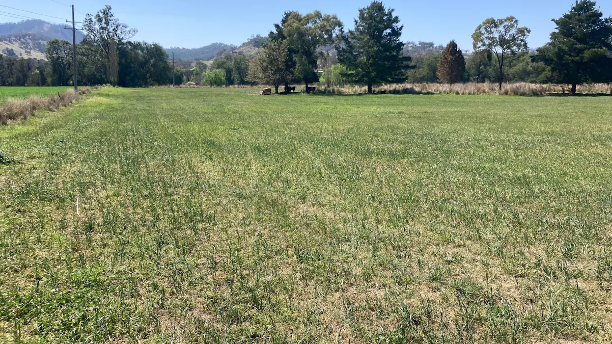 1/Hunter Road, Moonan Flat, NSW, 2337 - Image 2