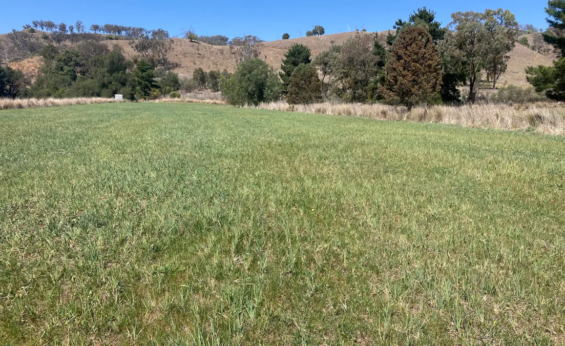 1/Hunter Road, Moonan Flat, NSW, 2337 - Image 3