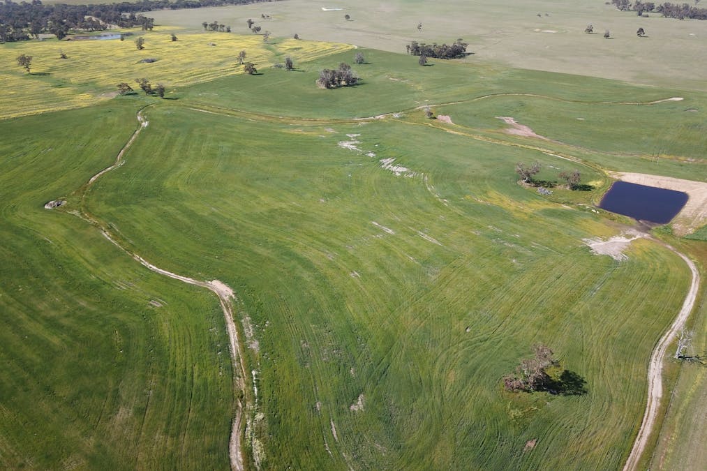 980 Townsend Road, Cranbrook, WA, 6321 - Image 10
