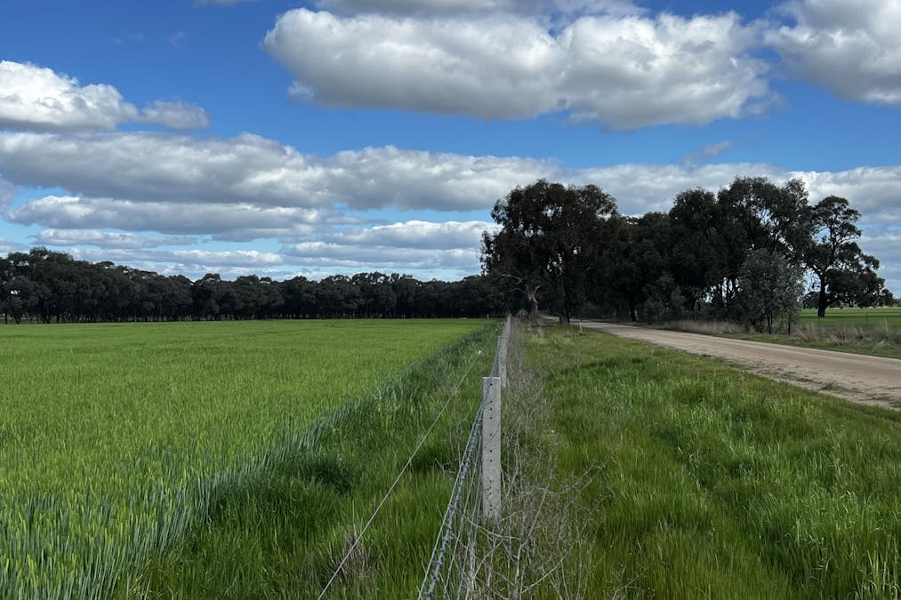 982 Calivil Mail Road, Calivil, VIC, 3573 - Image 20