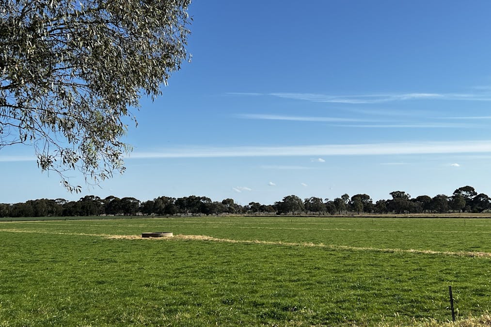 982 Calivil Mail Road, Calivil, VIC, 3573 - Image 24