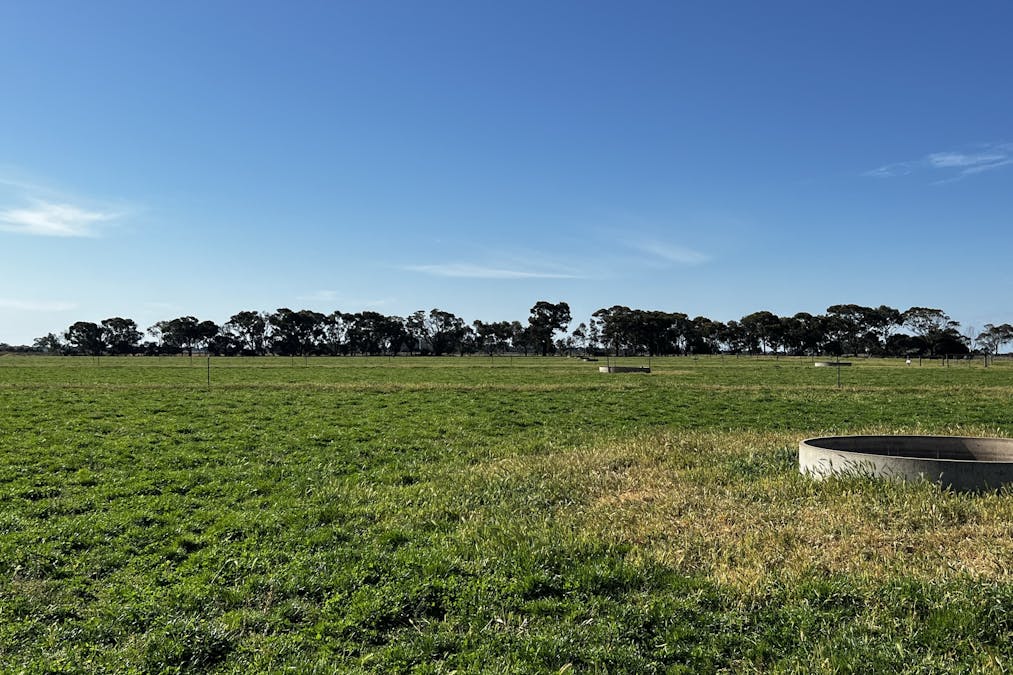 982 Calivil Mail Road, Calivil, VIC, 3573 - Image 25