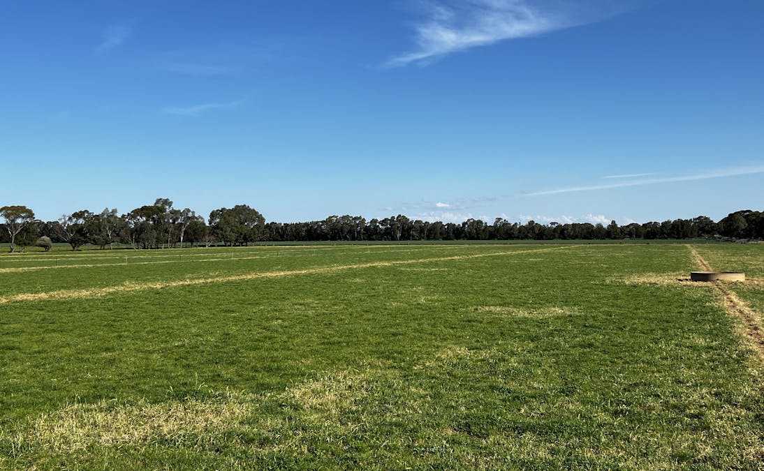 982 Calivil Mail Road, Calivil, VIC, 3573 - Image 26