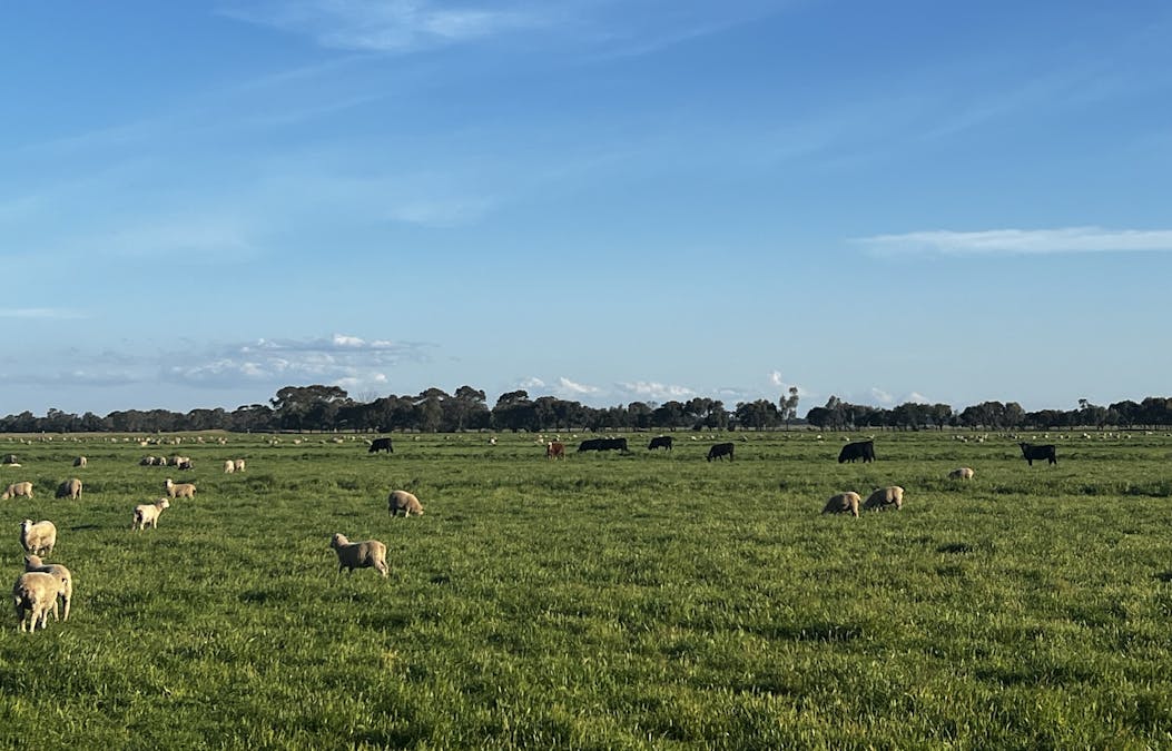 982 Calivil Mail Road, Calivil, VIC, 3573 - Image 6