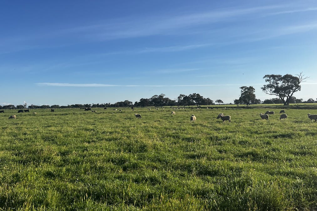 982 Calivil Mail Road, Calivil, VIC, 3573 - Image 27